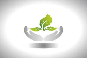 phytosanitory-certification-services