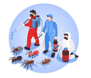 Container Fumigation Services